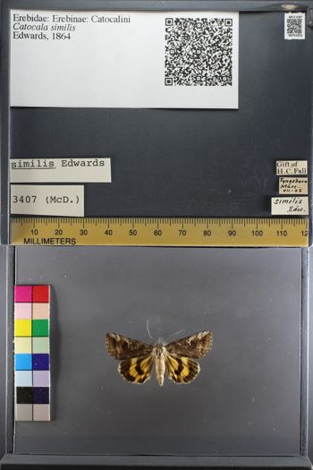 Media type: image;   Entomology 751051